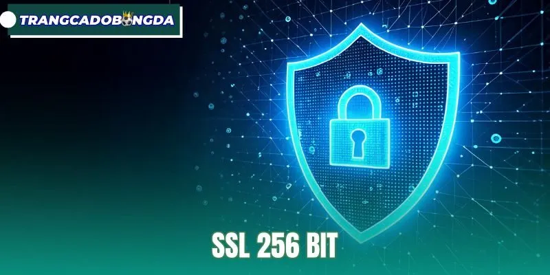 SSL 256 Bit - Chuẩn Mã Hóa Và Ranh Giới Bảo Mật Website